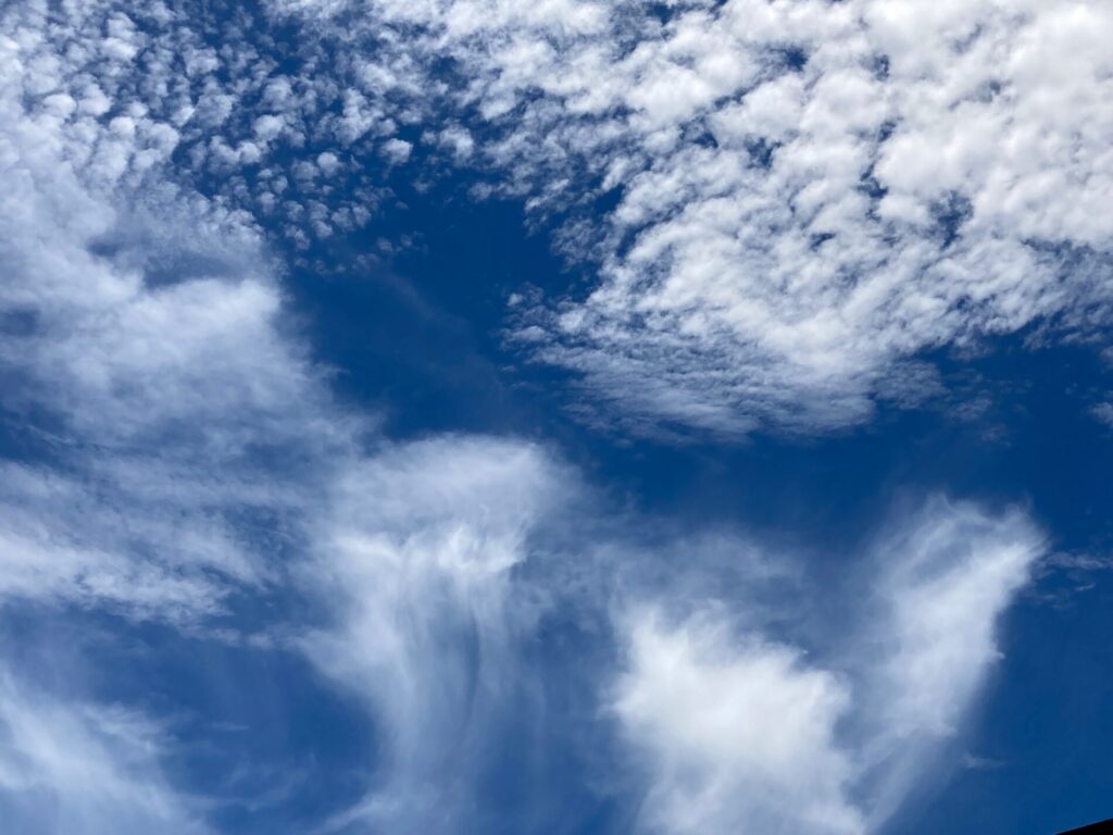 それぞれの形の雲